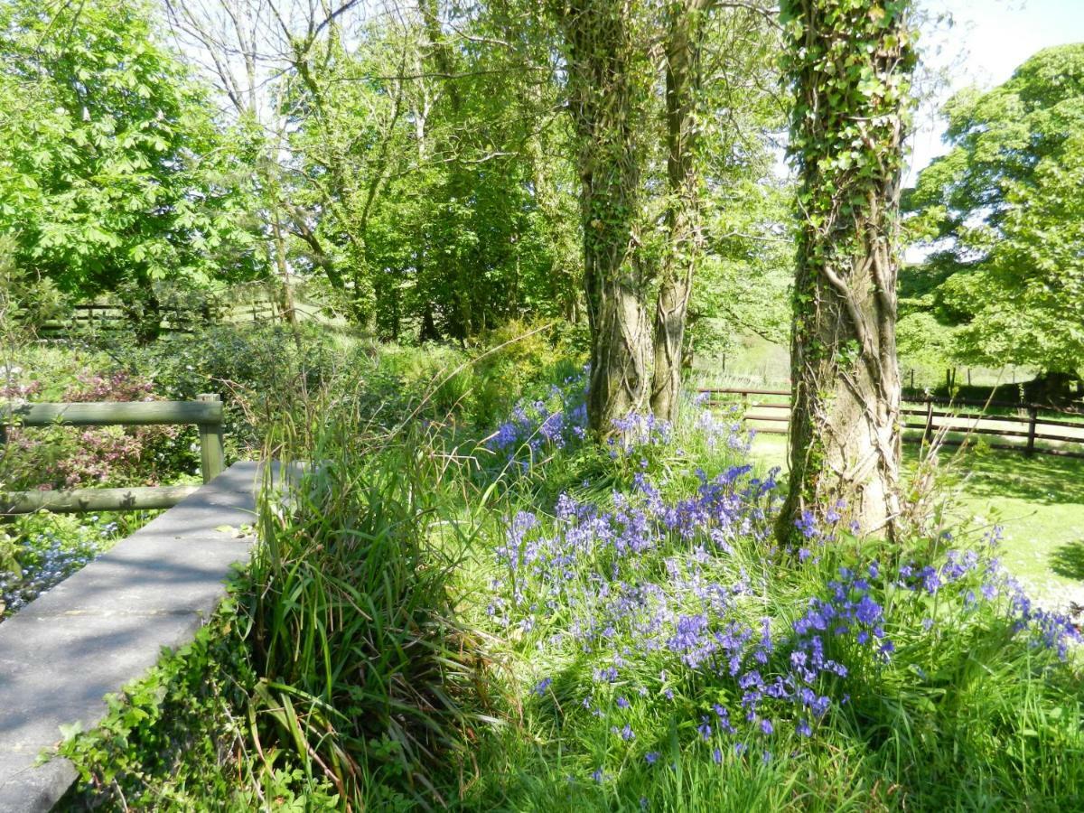Cilwen Country House Bed And Breakfast Abernant Eksteriør bilde