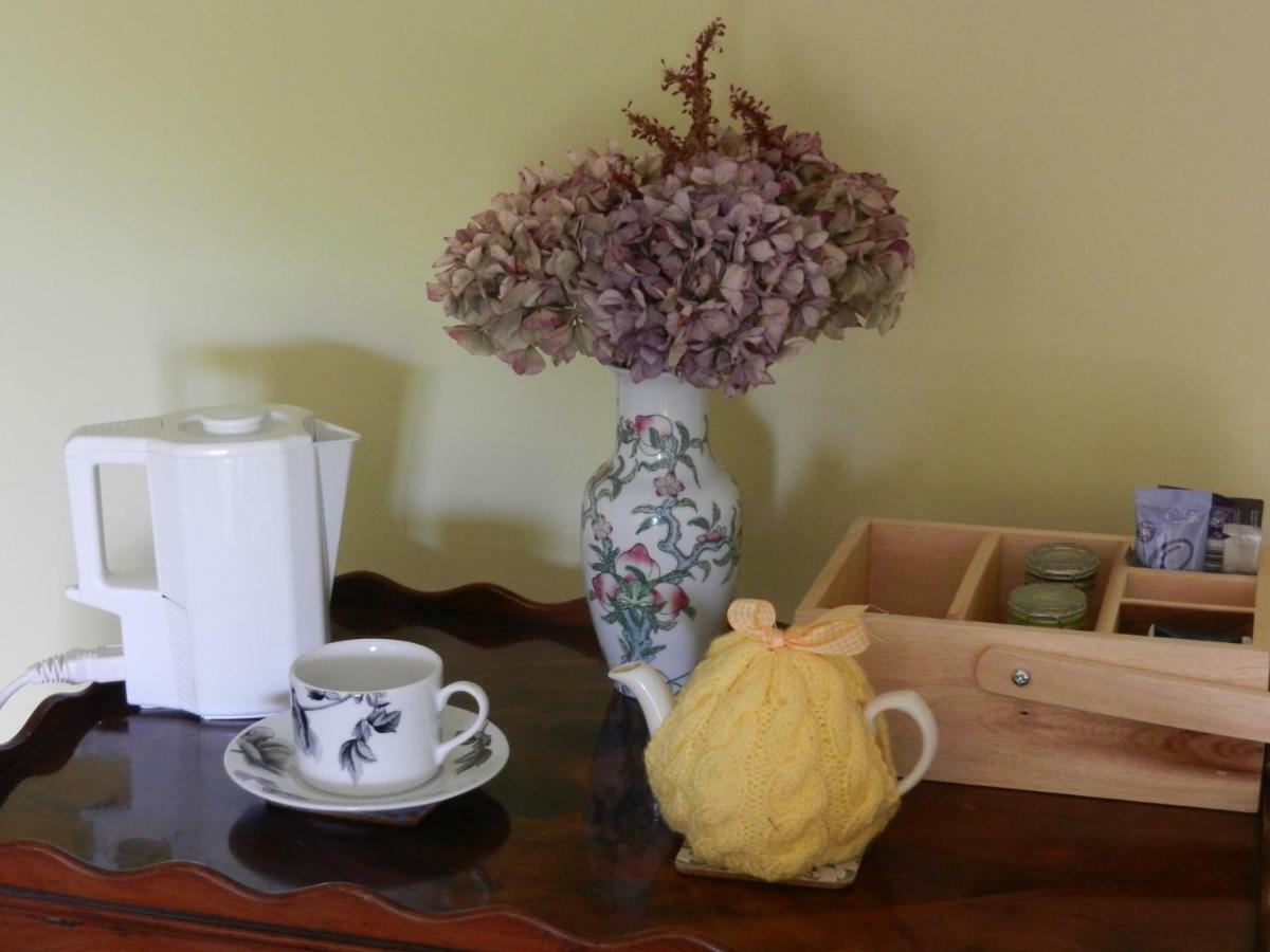Cilwen Country House Bed And Breakfast Abernant Eksteriør bilde
